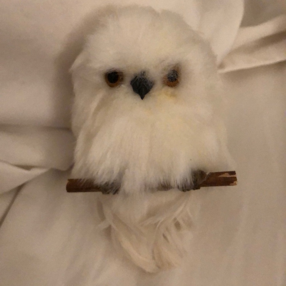 💥5 for $20💥Owl Ornament